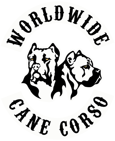 Worldwide Cane Corsos